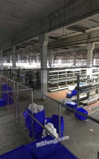 湖北襄阳盈利中纺织厂整厂转让 150万元打包出售，设备场地客户一并移交
